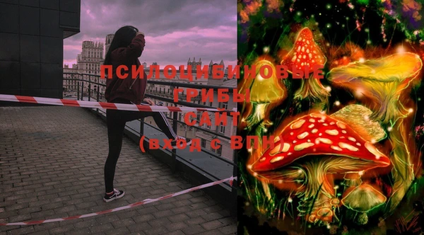 хмурый Пестово