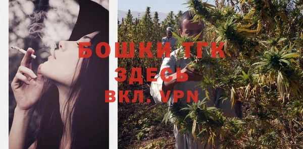 хмурый Пестово