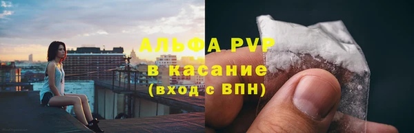 гидра Покачи