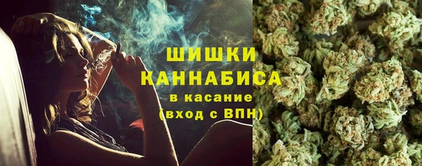 гидра Покачи