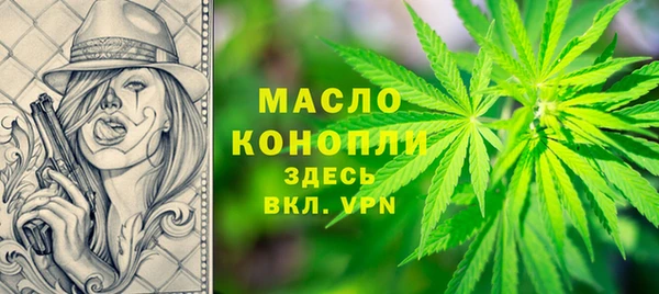 гидра Покачи