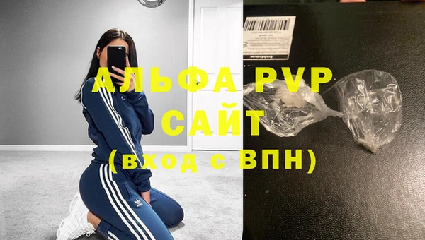 хмурый Пестово