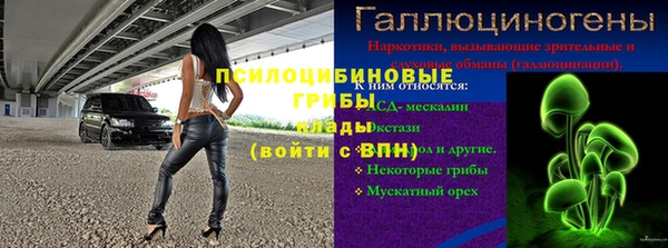 скорость Пересвет