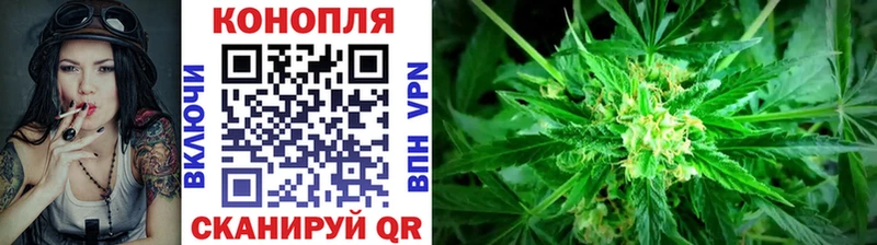 Конопля конопля  даркнет сайт  Тарко-Сале 